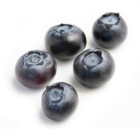 Blueberries small -5